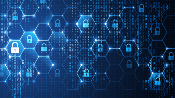  Data Governance <span>Services</span>