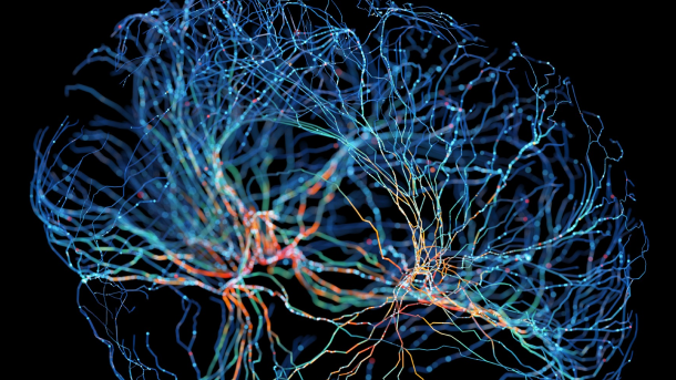  Microsoft Fabric Powered NLP <span>Services</span>