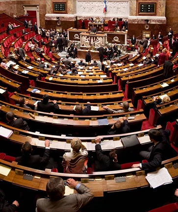 Government & Non-Profit