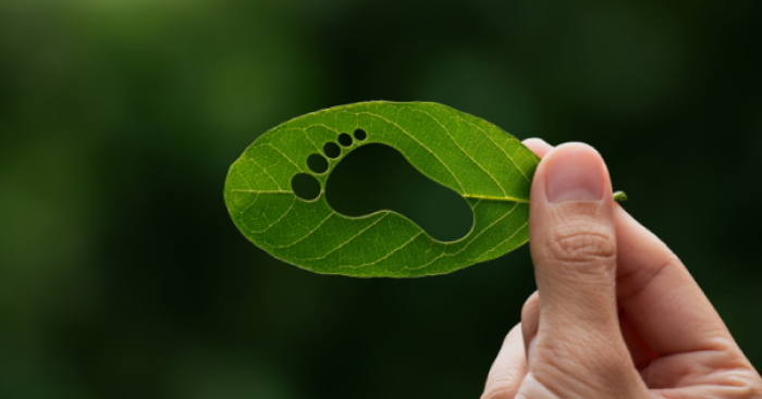 Empowering Sustainability through Carbon Emission Analytics