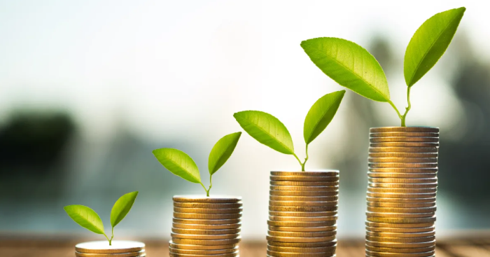 Enhancing Financial Insights for a Leading Philanthropic Fund
