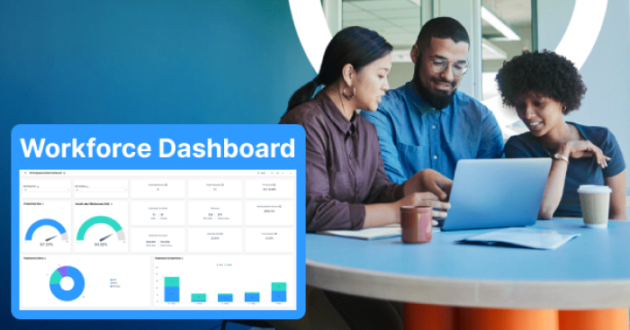 Reports and Insights for Workforce and Talent Solutions Platform